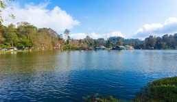 Kodaikanal Honeymoon Package