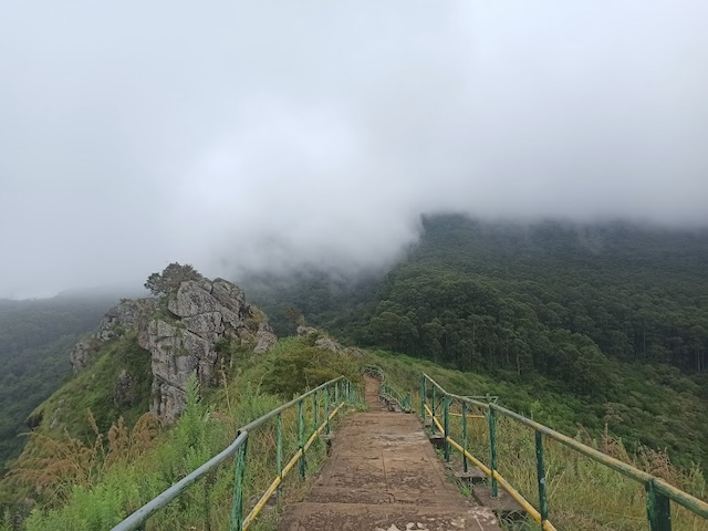 Needle Rock View Point