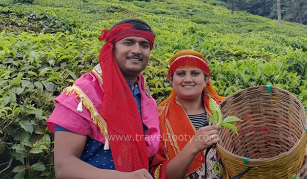 Ooty Honeymoon packages from Maharashtra