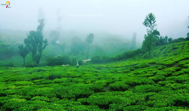 10 Best Attractions In Ooty - Ooty Must-see Attractions